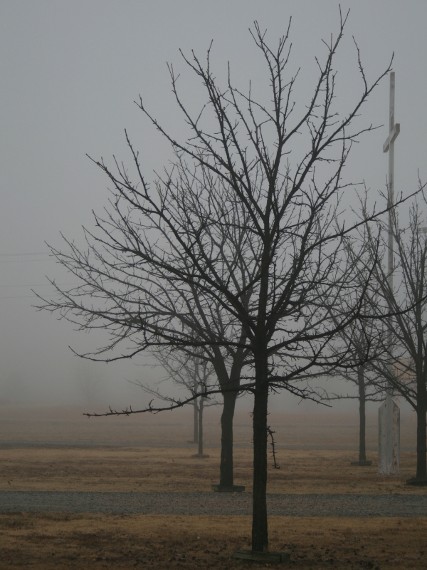 2009-01-06_tree-line-cross.jpg